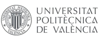 Universitat Politecnica de Valencia (CIGIP)